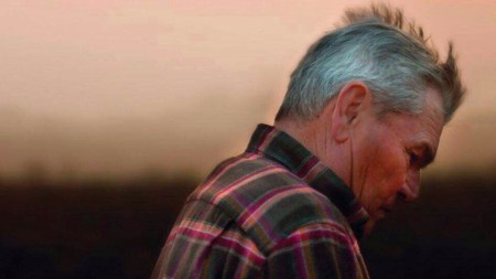 And Then Come The Nightjars