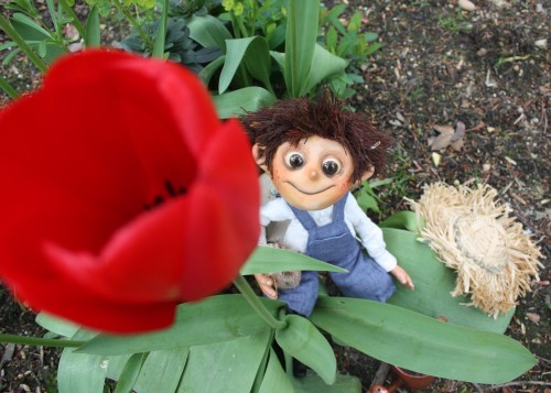 Photo credit: Eva Sampson